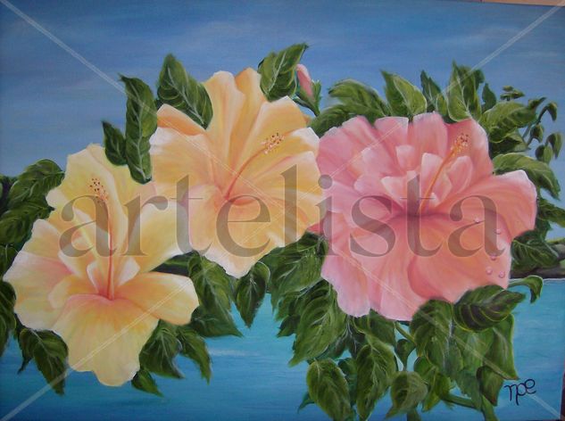 Hibiscus Oil Canvas Floral Painting