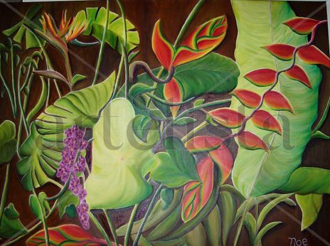 Heliconias