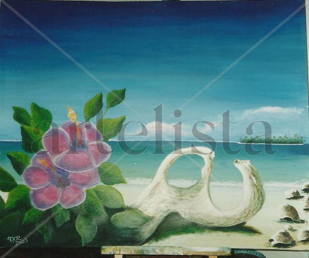 Playa acuario.