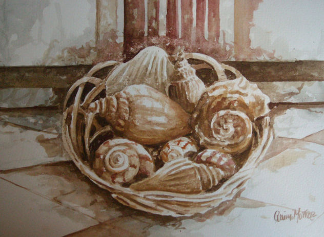 conchas de mar