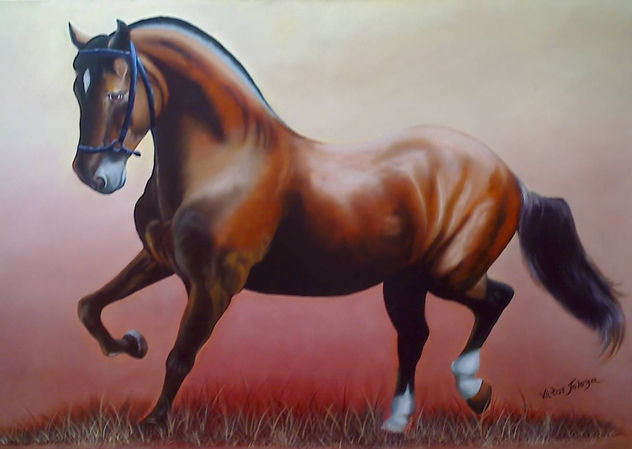 CORCEL  DE PASO  FINO