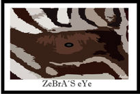 Zebra´s Eyes