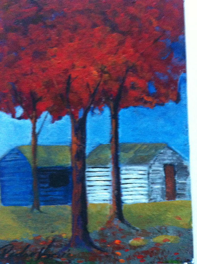 paisaje framboyan