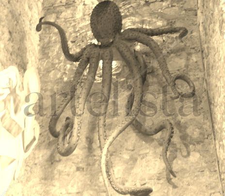 Pulpo
