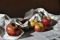 9.7 manzanas