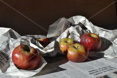 9.7 manzanas