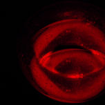 LUZ Y COLOR thumbnail 2