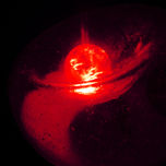 LUZ Y COLOR thumbnail 1