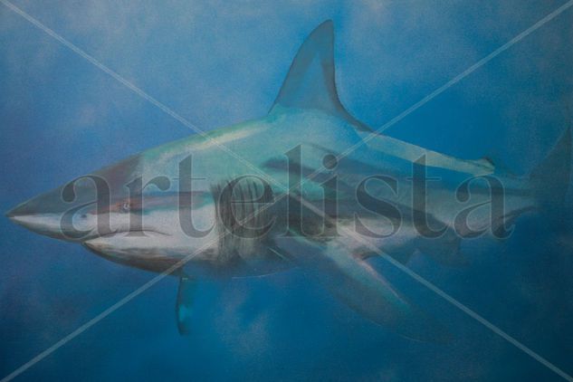 Shark Mixed media Canvas Animals