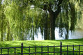 LLAC