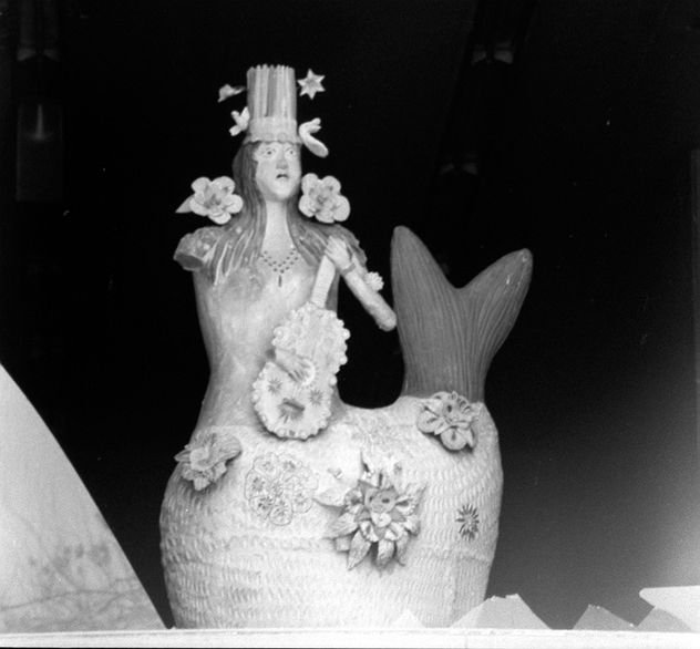 NATURALEZA 12