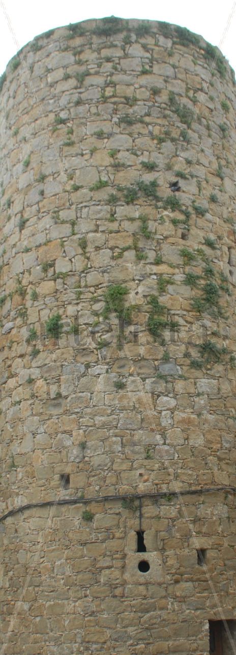 Torre