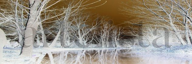 Río Tajuña Naturaleza Técnicas alternativas