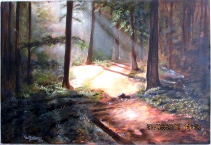 Paisaje Bosque
