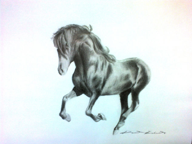 Black Horse by Deartist7 Charcoal