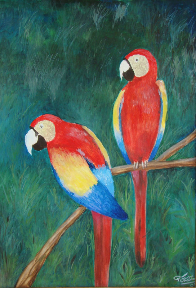 LOROS ROJOS