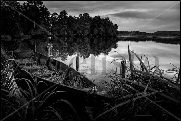 lago souston Naturaleza Blanco y Negro (Digital)