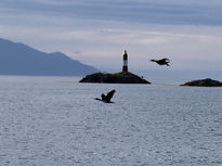 Vuelo en el beagle