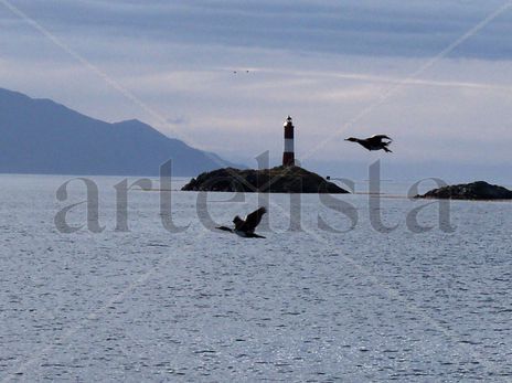 Vuelo en el beagle
