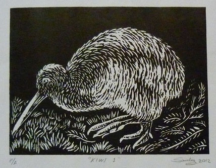 Kiwi 1