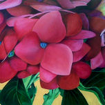 Hortensias thumbnail 1