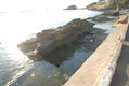 ROCA