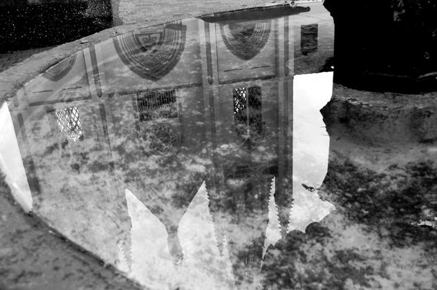 Reflejo