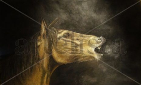 CABALLOS