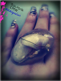 Anillo caracol y...