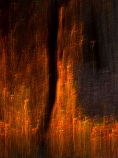 Cuando la luz coje fuego. Conceptual/Abstracto Color (Digital)