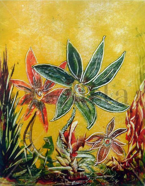 Flores