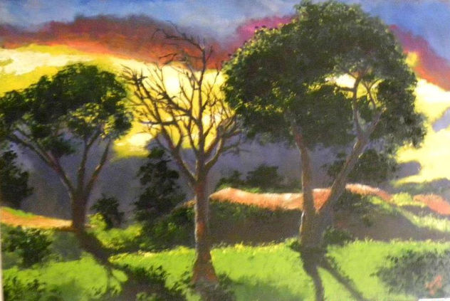 atardecer con los  arboles