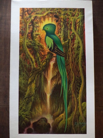 Quetzal Amazonico Acrylic Canvas Landscaping