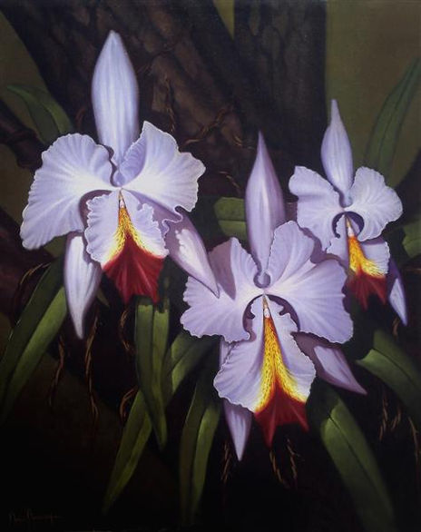 Tres Orquídeas