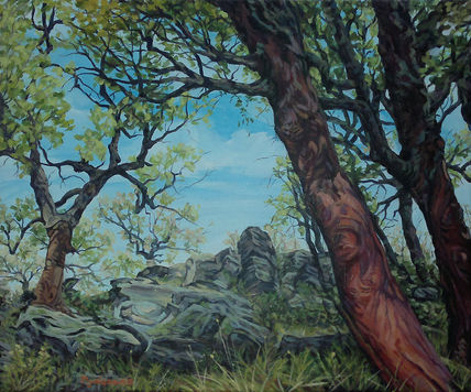 Paisaje de...