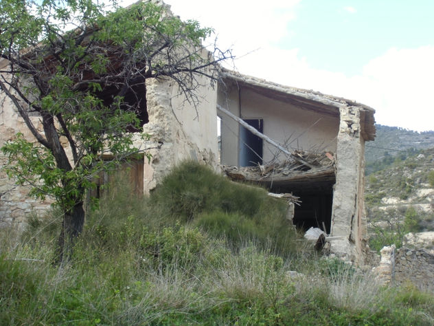 olvidada