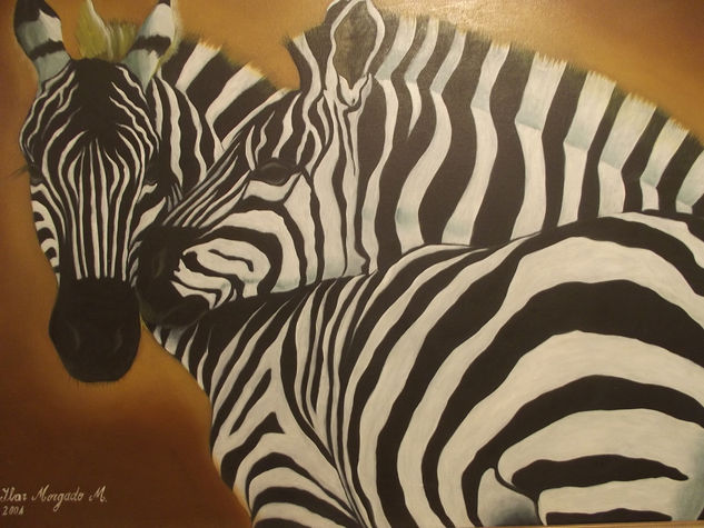 Cebras Oil Canvas Animals