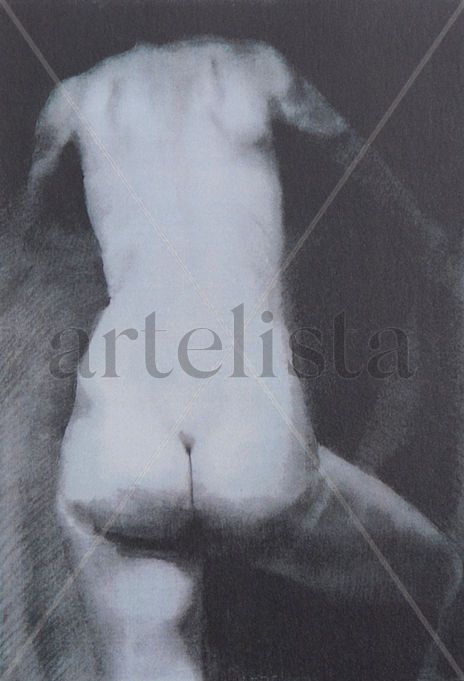 Torso