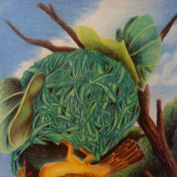 obra