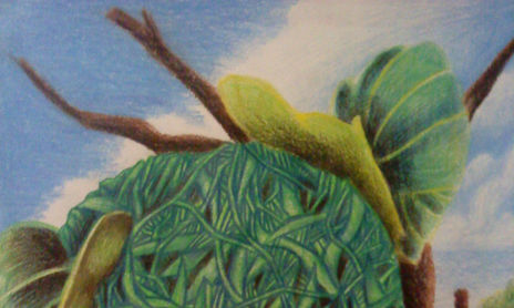 naturaleza