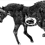 taxidermia thumbnail 1