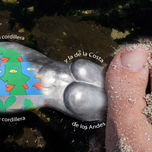 objetos thumbnail 2