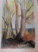 bosque