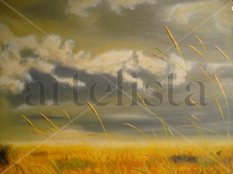 Campo - Field