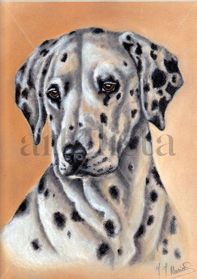 Dalmata Pastel Cartulina Animales