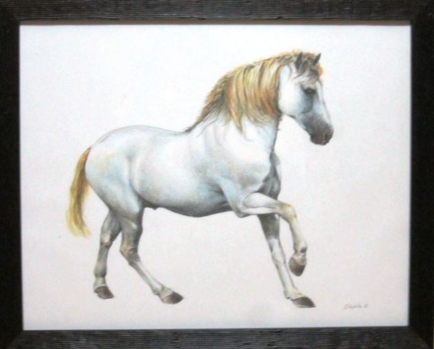 cavall