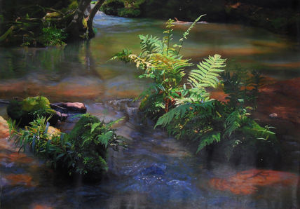 Paisaje