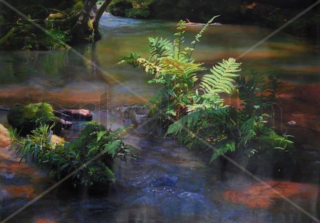 Paisaje