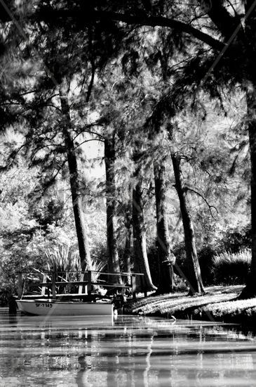 Desde el Río Naturaleza Blanco y Negro (Digital)