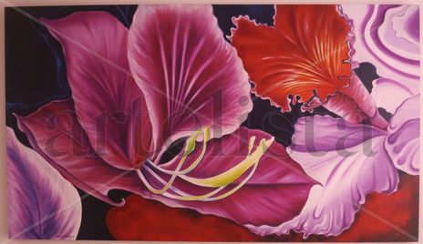 Orquidea 2